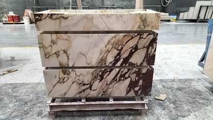 阿米莉亚·瓦尼蒂