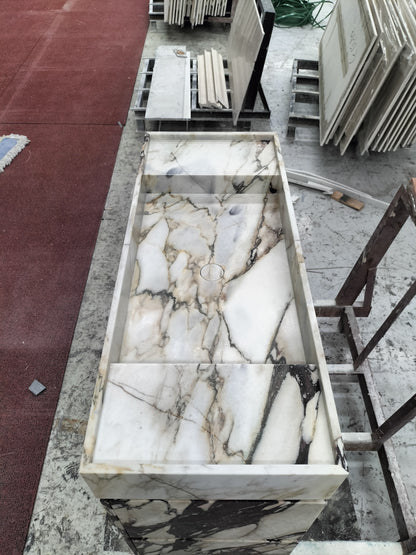 阿米莉亚·瓦尼蒂