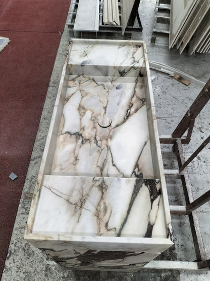 阿米莉亚·瓦尼蒂