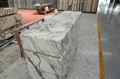 阿米莉亚·瓦尼蒂