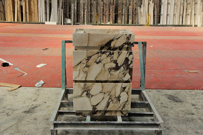 阿米莉亚·瓦尼蒂