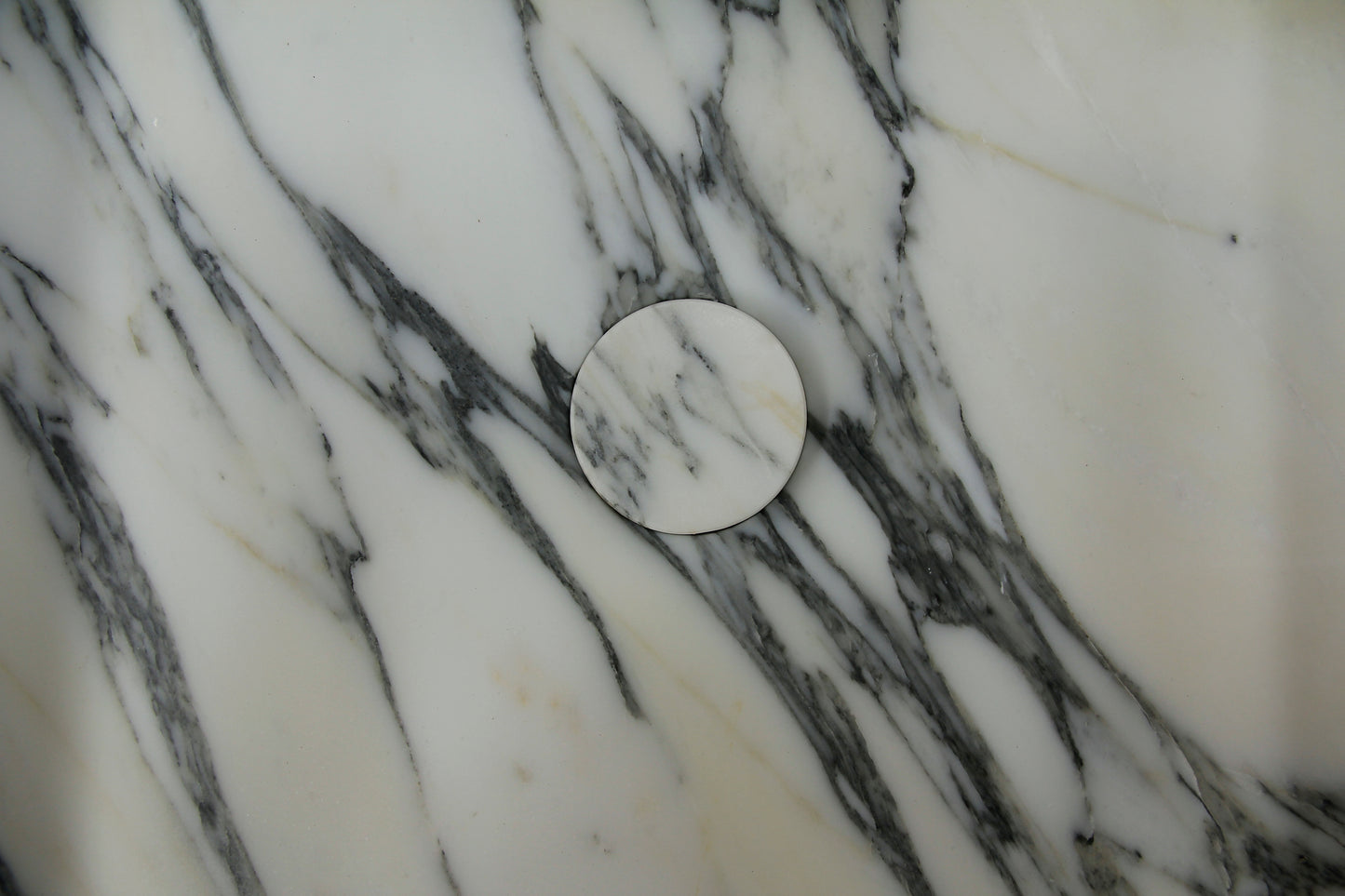 阿米莉亚·瓦尼蒂