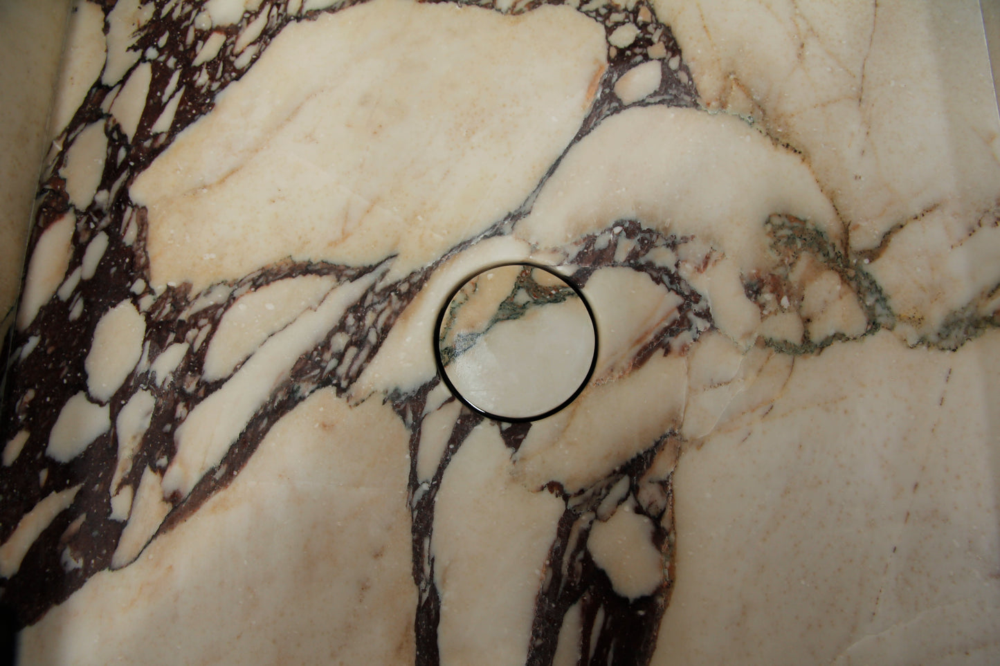 阿米莉亚·瓦尼蒂