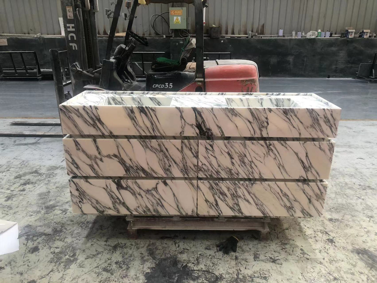 阿米莉亚·瓦尼蒂