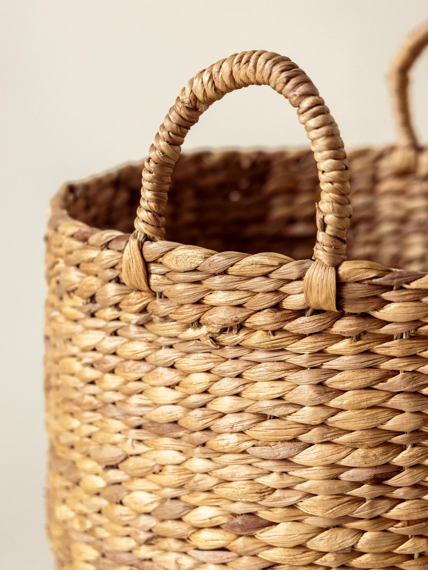 Cesto di alghe marine - Set di 3