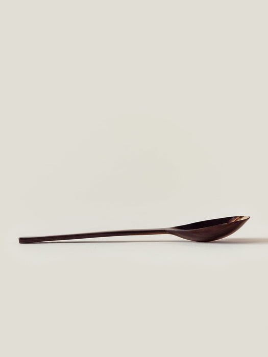 Large Spoon Set